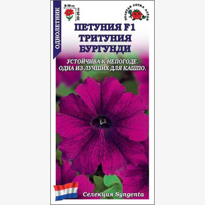 Петуния Тритуния Бургунди /Сотка/ 10шт