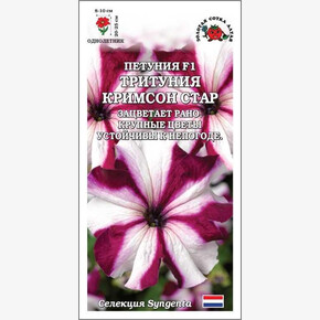 Петуния Тритуния Кримсон стар /Сотка/ 10 шт сингента/*500