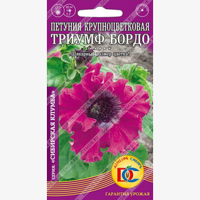 Петуния Триумф Бордо /10 шт Дем Сиб/