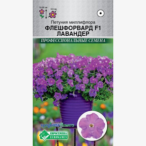 Петуния ФЛЕШФОРВАРД ЛАВЕНДЕР миллифлора 3 драже/ Евросемена