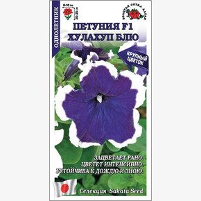 Петуния Хулахуп Блю F1 /Сотка/ 10шт/ син.-бел. h-25см d-10см/*500