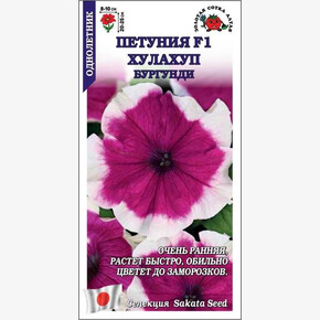 Петуния Хулахуп Бургунди F1 /Сотка/ 10шт/ h-25см d-10см/*500