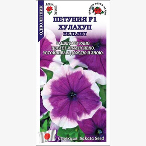 Петуния Хулахуп Вельвет F1 /Сотка/ 10шт/ h-25см d-10см/*500