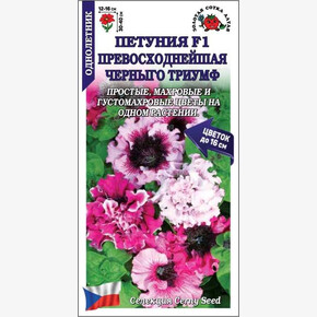 Петуния Черныго Триумф F1 /Сотка/ 10шт/ смесь h-40см d-16см /*500