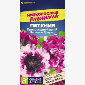 Петуния Черныго Триумф/Сем Алт/цп 7 шт. Низкорослые гиганты