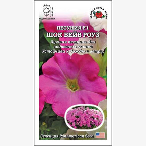 Петуния Шок вейв Роуз F1 /Сотка/ 5шт/ h-45cм d-6см PanAm/*500