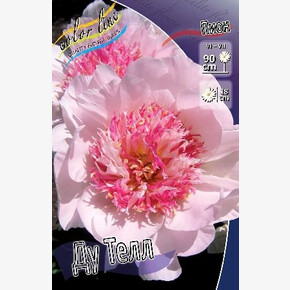 ПИОН ДУ ТЕЛЛ