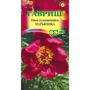 Пион Марьюшка 3шт /Гавриш/