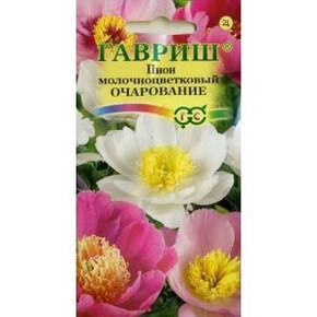 Пион Очарование/Гавриш/цп 3 шт.