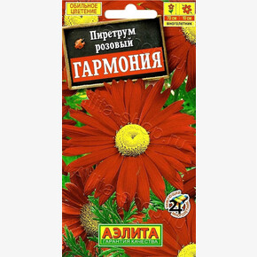 Пиретрум Гармония/ Аэлита