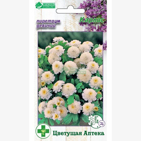 Пиретрум КАРЛОС (10 шт)/ Евросемена