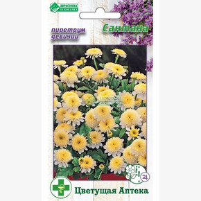 Пиретрум САНТАНА (10 шт)/ Евросемена