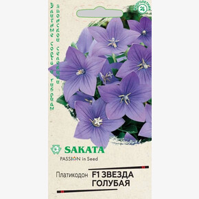 Платикодон Звезда Голубая/ Гавриш 5шт