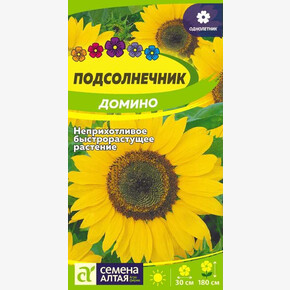 Подсолнечник Домино/ Семена Алтая 0,5 гр.