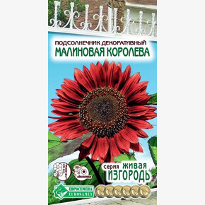 Подсолнечник МАЛИНОВАЯ КОРОЛЕВА (1 гр)/ Евросемена