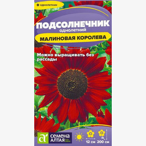 Подсолнечник Малиновая Королева/Семена Алтая/цп 0,3 гр.