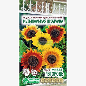 Подсолнечник МУЗЫКАЛЬНАЯ ШКАТУЛКА декоративный 5 шт/ Евросемена