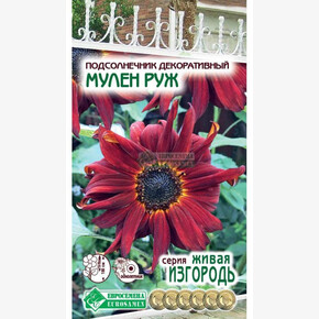 Подсолнечник МУЛЕН РУЖ декоративный 1 гр/ Евросемена