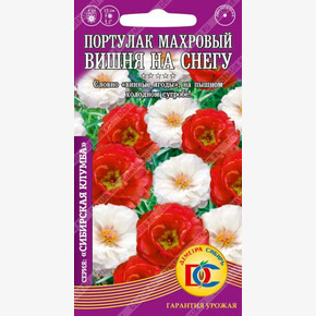 Портулак Вишня на снегу махровый /0,05 гр Деметра/
