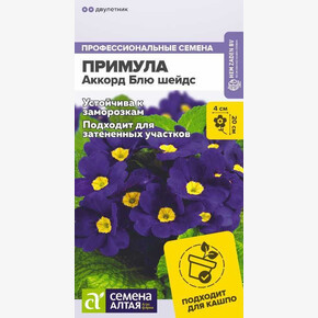 Примула Аккорд Блю шейдс/Сем Алт/цп 5 шт двулетник