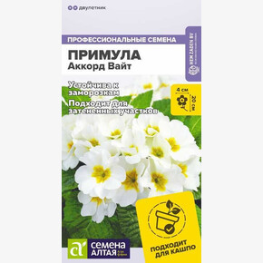 Примула Аккорд Вайт/Сем Алт/цп 5 шт двулетник