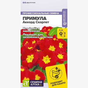 Примула Аккорд Скарлет/Сем Алт/цп 5 шт двулетник