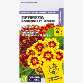 Примула Белиссимо Тагетес/ Семена Алтая 5 шт. многолетник