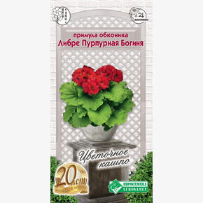 Примула Либре Богиня 5шт/ Евросемена