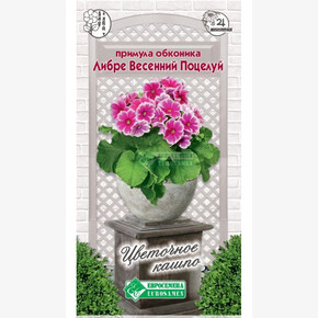 Примула ЛИБРЕ ВЕСЕННИЙ ПОЦЕЛУЙ 5 шт/ Евросемена