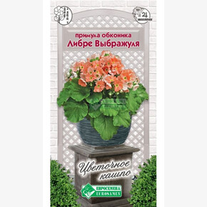 Примула Либре Выбражуля/ Евросемена