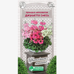 Примула мягковатая ДЖУЛЬЕТТА, смесь (3 шт)/ Евросемена