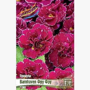 ПРИМУЛА BARNHAVEN ФРУ ФРУ