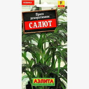 Прострел Розовые сны Сон-трава смесь 0,1г/ Аэлита Экстра