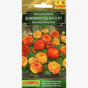 Ранункулюс Блюмингдейл фаэйр биколор 3шт/ Аэлита