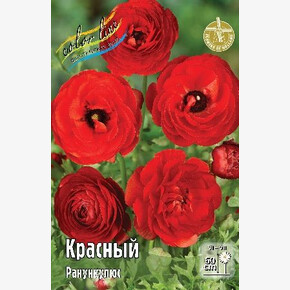 РАНУНКУЛЮС КРАСНЫЙ