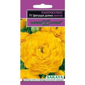 Ранункулюс Цветущая долина Золотая/ Гавриш