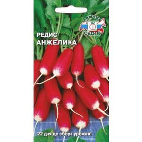 редис Анжелика /Седек