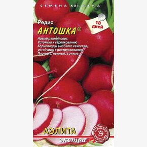 Редис Антошка/ Аэлита