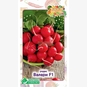 Редис ВАЛЕРИ 0,5 гр/ Евросемена