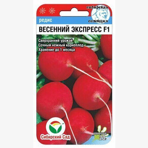 Редис Весенний экспресс F1 1г Сиб Сад