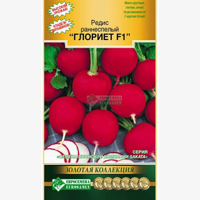 Редис Глориет/ Евросемена