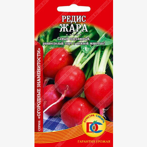 редис Жара /2 гр Дем Сиб/
