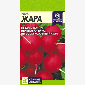 Редис Жара/ Семена Алтая 2 гр.