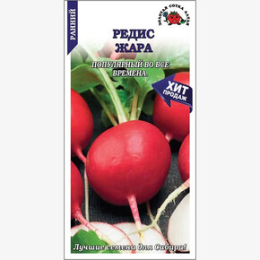 Редис Жара/ Сотка