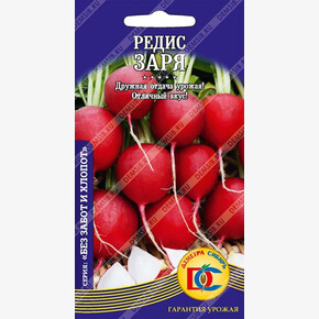 редис Заря /2 гр Деметра/