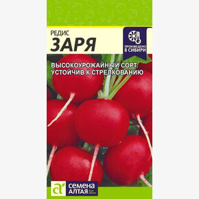 Редис Заря/Сем Алт/цп 2 гр.