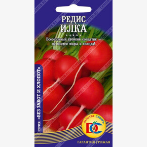 Редис Илка /2 гр Деметра/