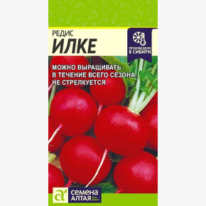 Редис Илке/Сем Алт/цп 2 гр.