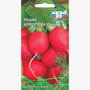 Редис Королева рынка /Седек/