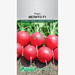 Редис Мелито/ Евросемена
